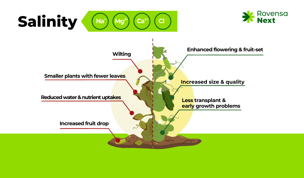 Salinity infrographic